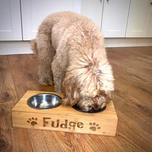 Personalised Double Pet Bowl for Dogs